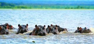 Attractions in Lake Manyara National Park