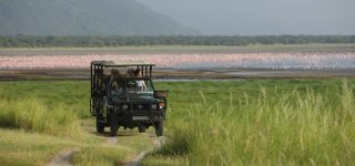 Game drives in Lake Manyara national park