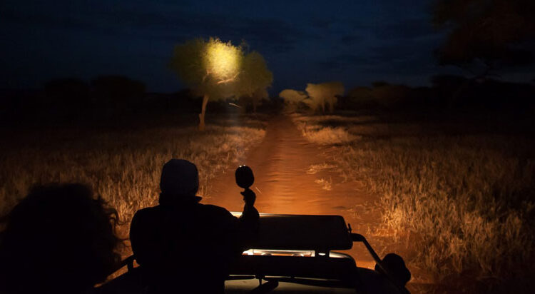 Night Game Drives in Lake Manyara national park
