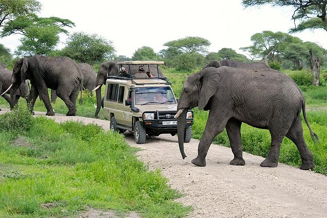 13 Days Tanzania Safari and Zanzibar Holiday