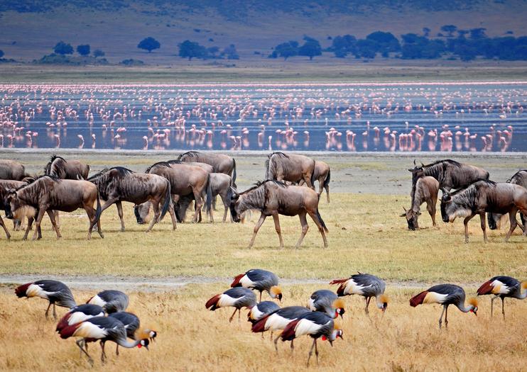 7 days Tarangire, Serengeti and Ngorongoro safari