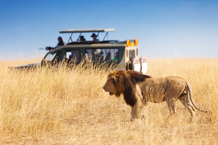 How to book a safari in Tanzania