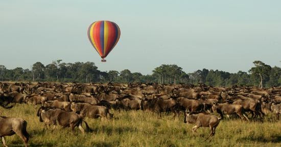 3 Days Serengeti Balloon Safari