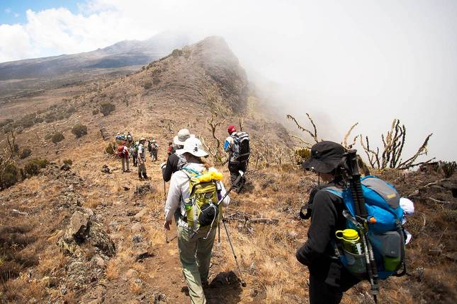 6 Days Mount Meru Hike and Tanzania Wildlife Safari